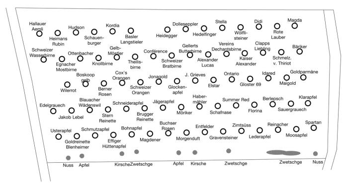 Plan Obstgarten