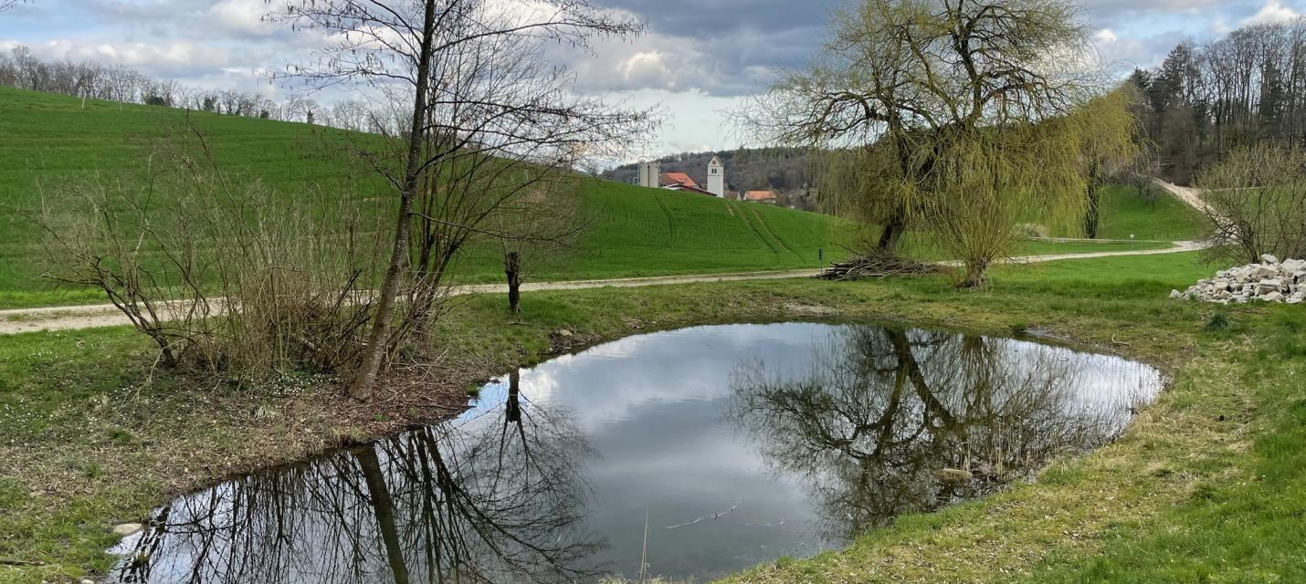 Weiher Schwarzmatt